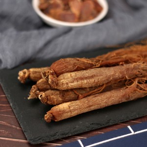 Premium Red Ginseng Slices for Health Supplements | High-Grade Export Quality Herbal Ingredients
