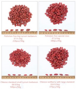 Medicinal Grade Goji Berries from Ningxia | Selenium-Rich & Organic Certified · Bulk/Retail Available