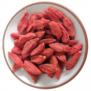 Medicinal Grade Goji Berries from Ningxia | Selenium-Rich & Organic Certified · Bulk/Retail Available