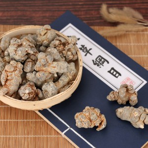 100% Natural High Quality Panax Notoginseng