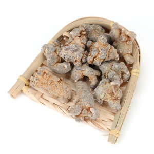 100% Natural High Quality Panax Notoginseng