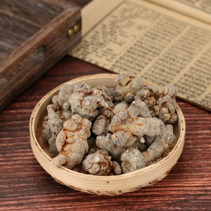 100% Natural High Quality Panax Notoginseng