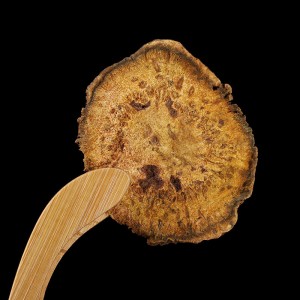Premium Dried Rhubarb Root Slices (Rheum palmatum) – Organic, Lab-Tested, Bulk Export for Herbal Medicine & Supplements
