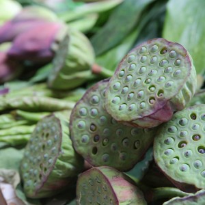 Certified Organic Dried Lotus Seeds for TCM & Supplements | Bulk Wholesale, GMP-Compliant Export