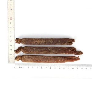 Chinese herbal medicine red ginseng whole root