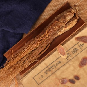 Premium Red Ginseng Slices for Health Supplements | High-Grade Export Quality Herbal Ingredients
