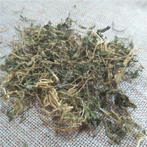 Premium Dried Lobelia Chinensis | Natural Anti-inflammatory Herbal Material | GMP Certified | Bulk Supplier | Custom Solutions