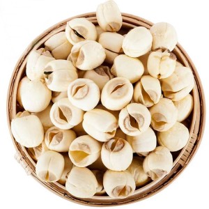 Certified Organic Dried Lotus Seeds for TCM & Supplements | Bulk Wholesale, GMP-Compliant Export
